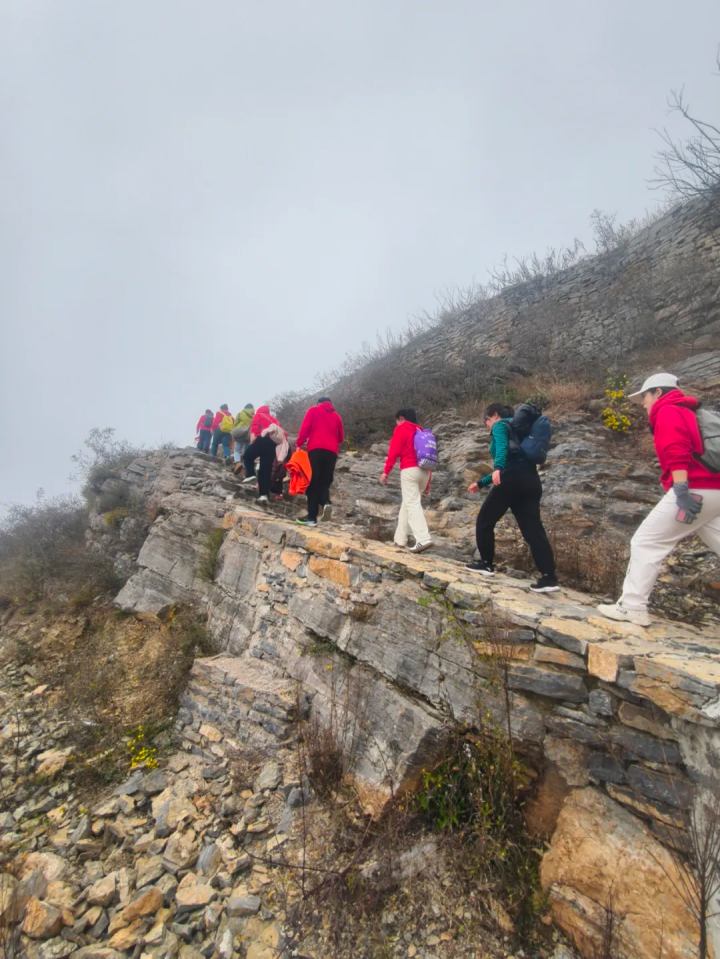 002_image_1763172527942.jpg 002_image_1763172527942.jpg